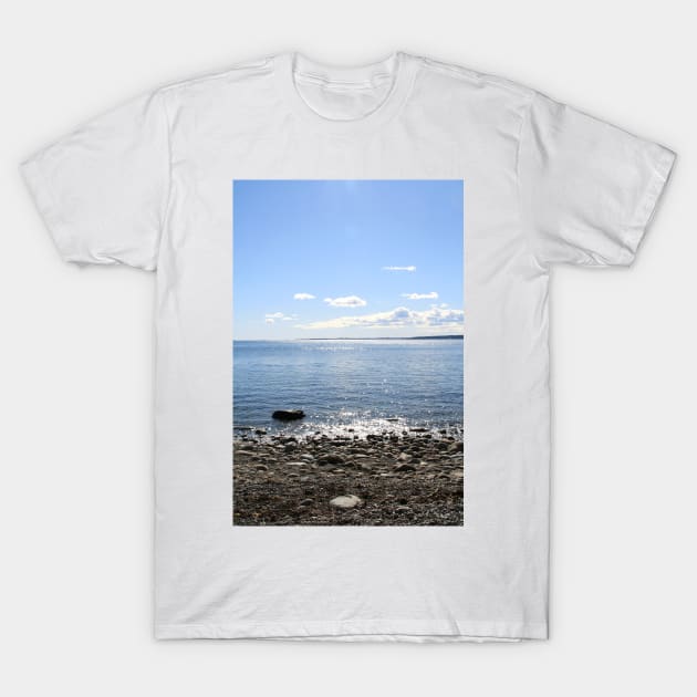 Rocky Beach T-Shirt by Ecotone